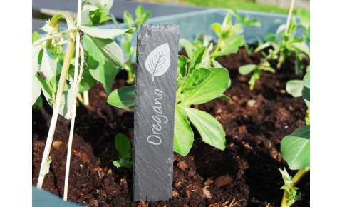 Slate Herb Plant Markers